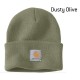 Beanie / Watch Hat