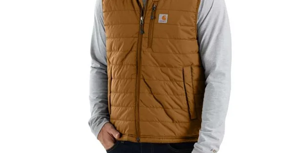 Carhartt men's hot sale gilliam vest